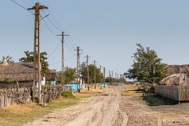 Cesty v Letei jsou písčité (2024)