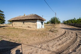 A postupně se rozpadají (2024)