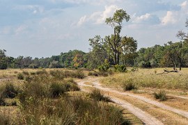 Nádherná krajina Letejského lesa (2024)