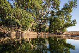 Vodní radovánky koňů (2024)