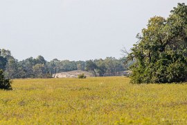 V dáli mohutná písečná duna (2024)