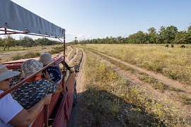 Exkurze speciálně upraveným safari vozem (2024)