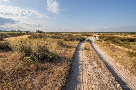 I v okolí rezervace je krajina půvabná (2024)
