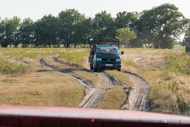 Exkurze do Letejského lesa (2024)