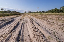 Exotická krajina plná písku (2024)