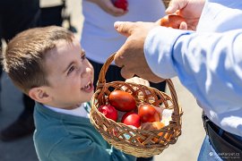 Ťukání vajíček (2025)
