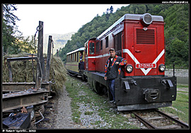 Lesní železnice Vișeu de Sus