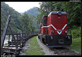 Lesní železnice Vișeu de Sus - motorová lokomotiva dělnického vlaku