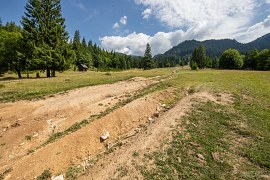 Pastvina na výstupové trase (2024)