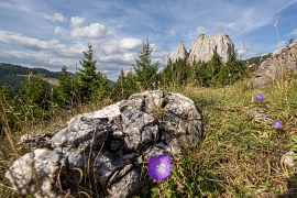 Piatra Singuratică (2024)