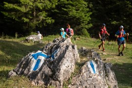 Přístupová cesta byla dobře značená (2024)