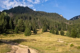 Horské louky pod Piatrou Singuraticou (2024)
