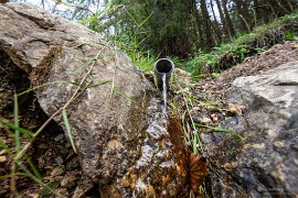 Pramen na vrchu louky (2024)