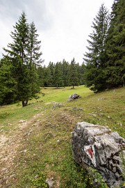 V závěru výstupu (2024)