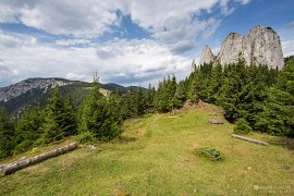 Hășmașul Mare a Piatra Singuratică (2024)