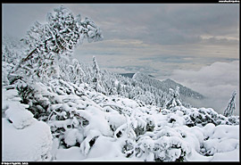 Drsná a zároveň krásná zima na vrcholcích Chočských vrchů (2012)
