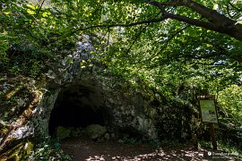 Velká Drienčanská jeskyně (2020)