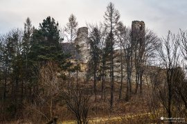Plavečský hrad temně vykukující z lesa (2023)