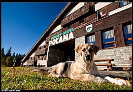 Horský hotel Poľana - pes provozovatelů bufetu