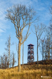 Rozhledna na Panské Javorině (2022)