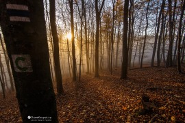 Na rozhraní inverze (2022)