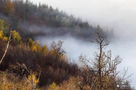 Podzimní atmosféra na Panské Javorině (2022)