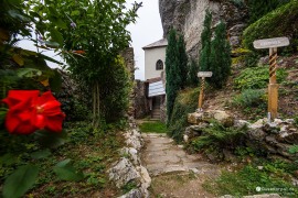 Nádvoří klášteru je plné vkusné zeleně (2022)