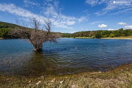 Čistá voda v Borském jezeru (2019)