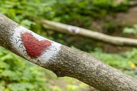 Turistická značka ve tvaru srdce; je vskutku těžké zdejší přírodu nemilovat (2025)