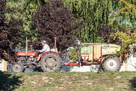 V rovinatém Kulpíně je zemědělství jasnou náplní života mnoha obyvatel (2025)