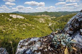 Pohled ze skal ke kopcům v okolí města Bor (2019)