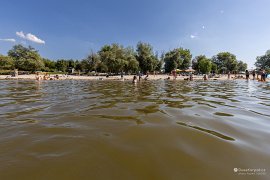 Koupání v Dunaji (2025)