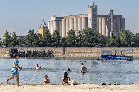 Koupání v Dunaji (2025)