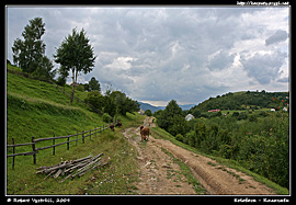 Cesta z Koločavy do sedla Pryslop (2009)