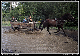 Koňský povoz přejíždí kaluž na ulici pod hradem Palanok (2009)