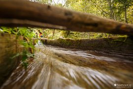 Dřevěným korytem (tzv. vantrok) se valí voda do valyla (2018)