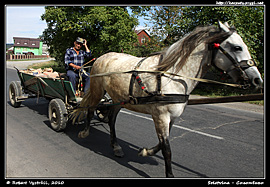 Někteří do Solotviny jezdí na koňském povozu.