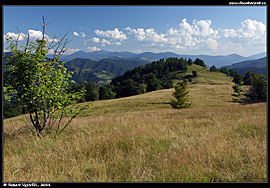 Pohled ze Svidovce (nad obcí Bilyn) na Čornohoru