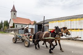 Koňský povoz (2025)