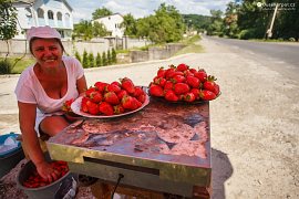 Prodejkyně jahod na okraji Vynohradivu (2018)